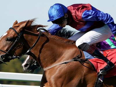 Five lots who could cause a stir at the Arqana Breeze-Up Sal ... Image 1